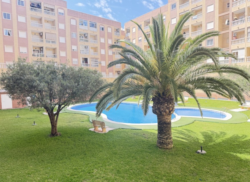 Re-Sale - Apartment - Torrevieja - Torrevieja - Centre