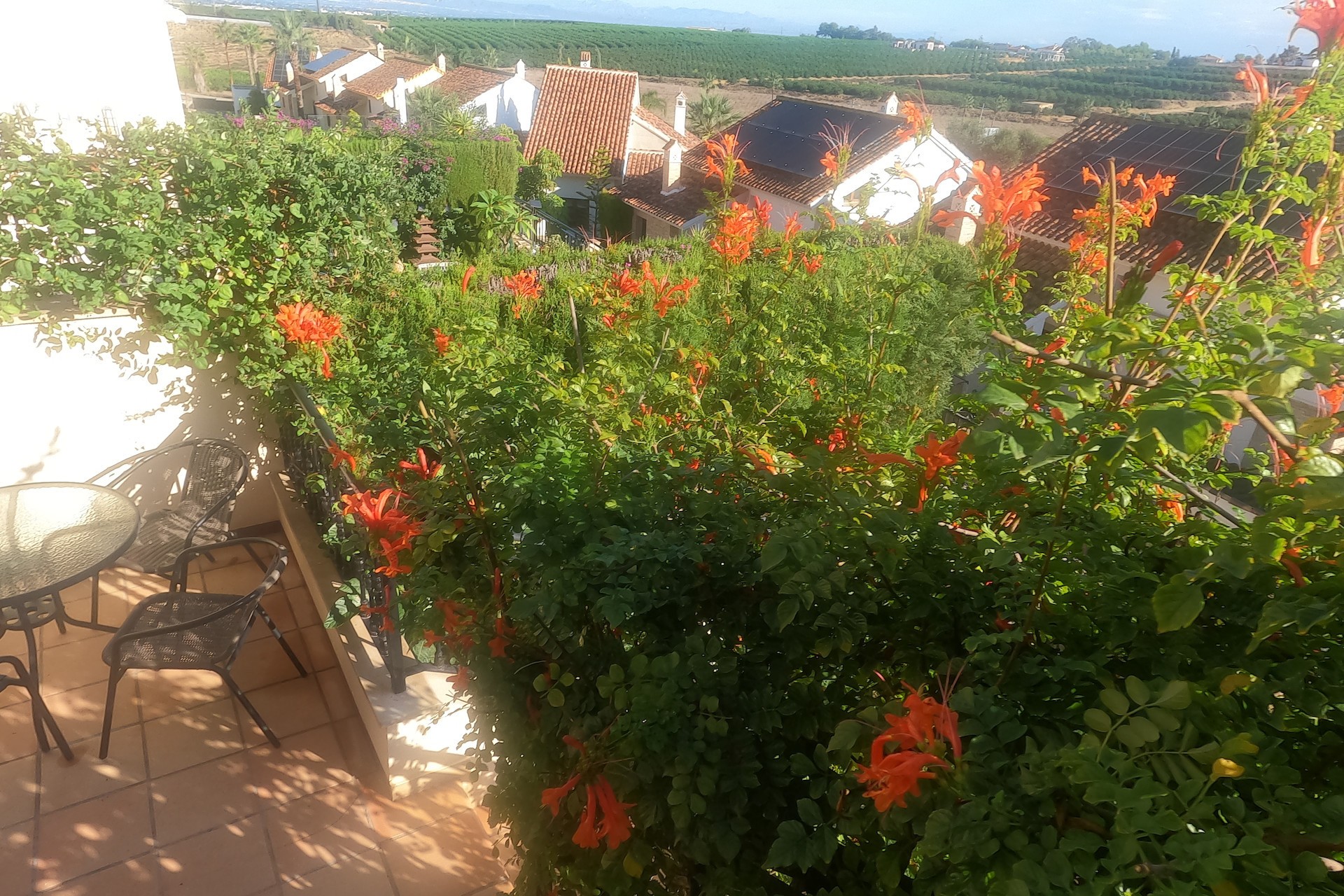 Re-Sale - Bungalow - Algorfa - La Finca Golf Resort