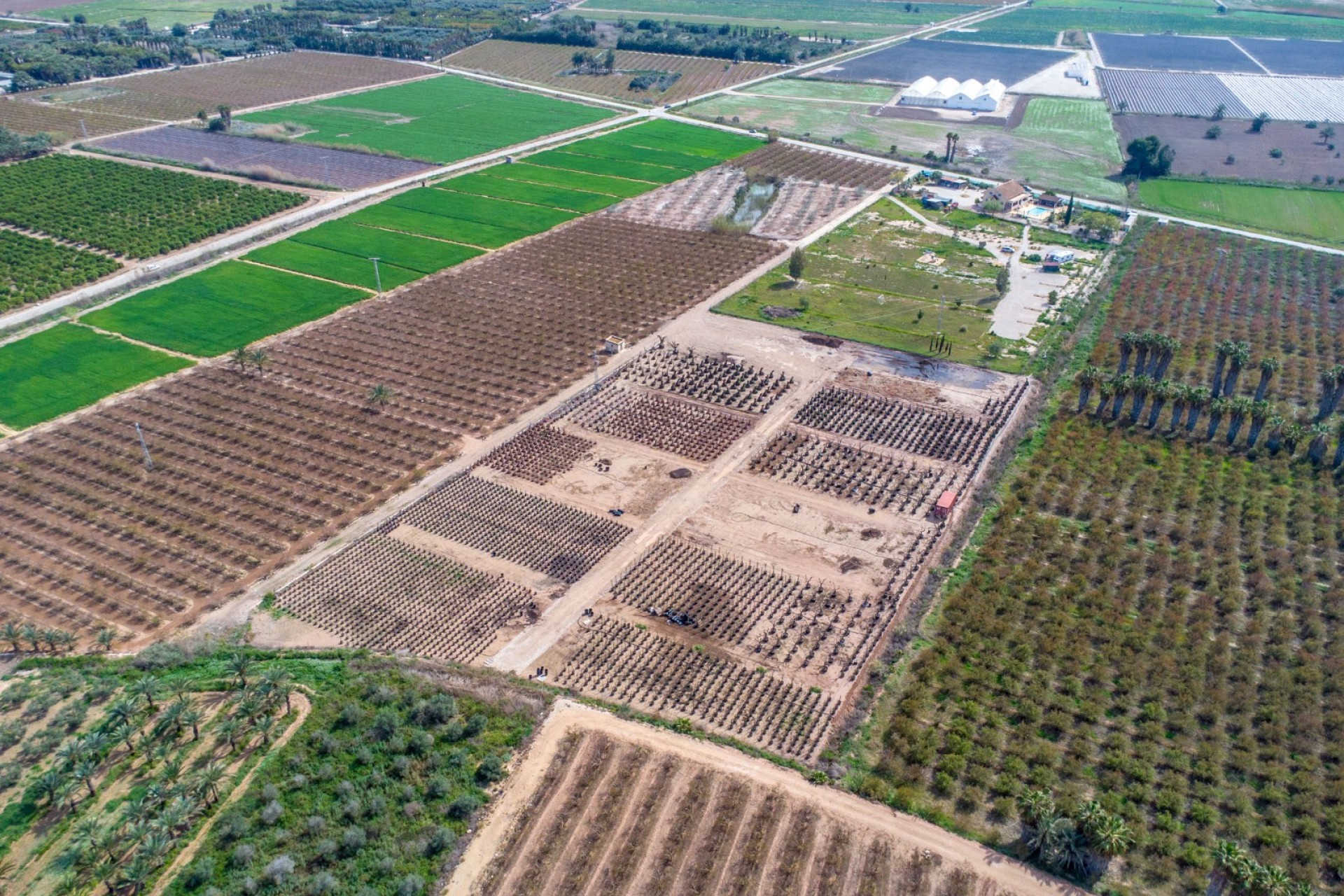 Re-Sale - Country Property - Albatera - Albatera - Country