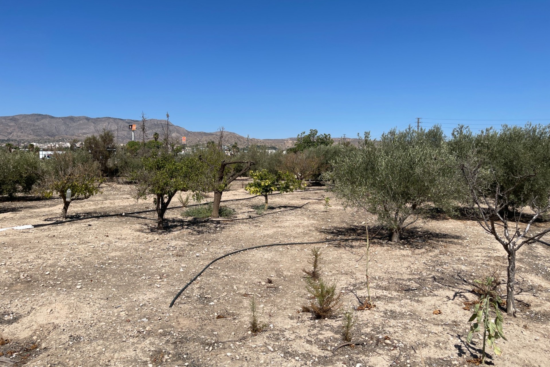 Re-Sale - Country Property - Crevillente - Crevillente - Country