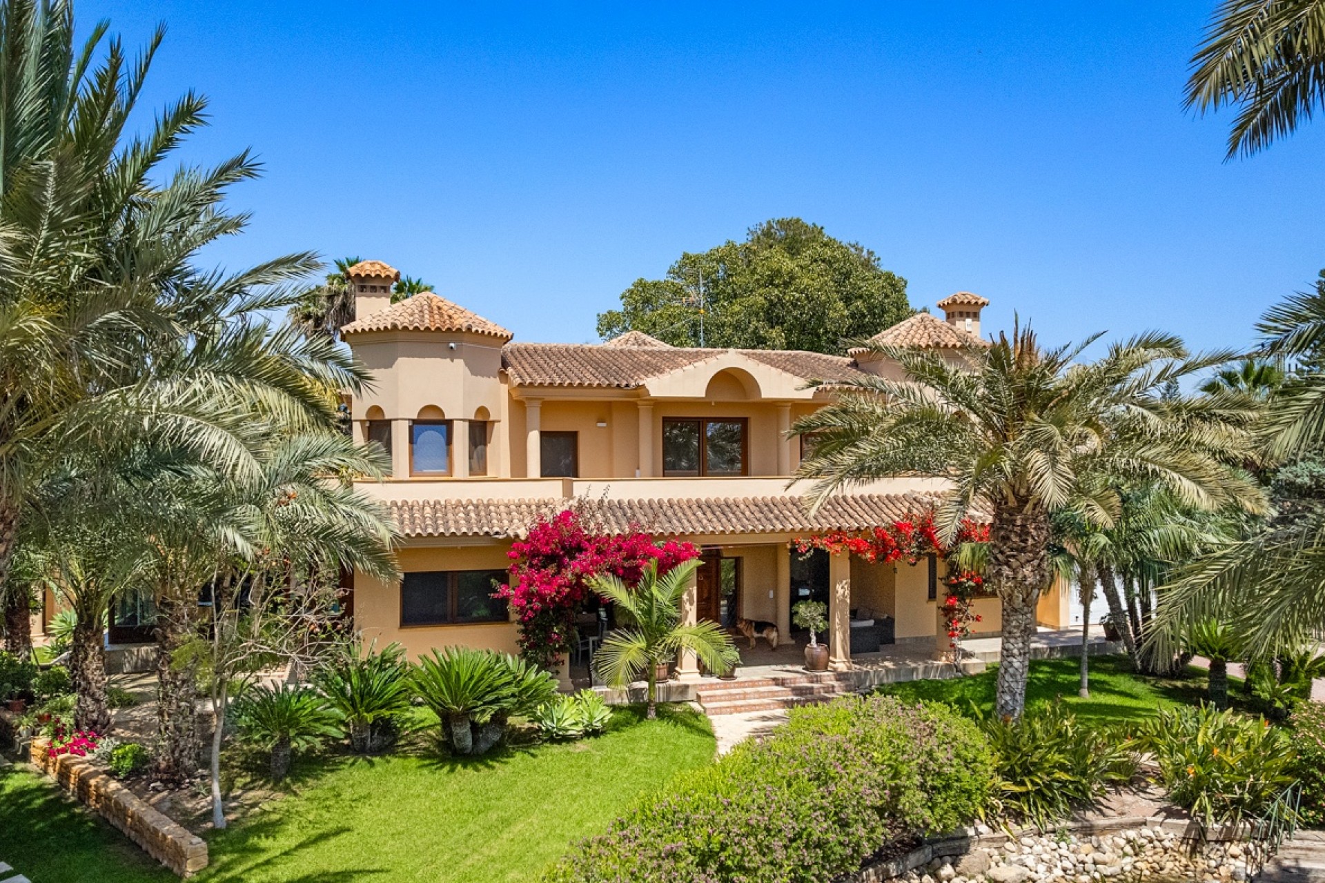 Re-Sale - Country Property - Elche - Elche - Country