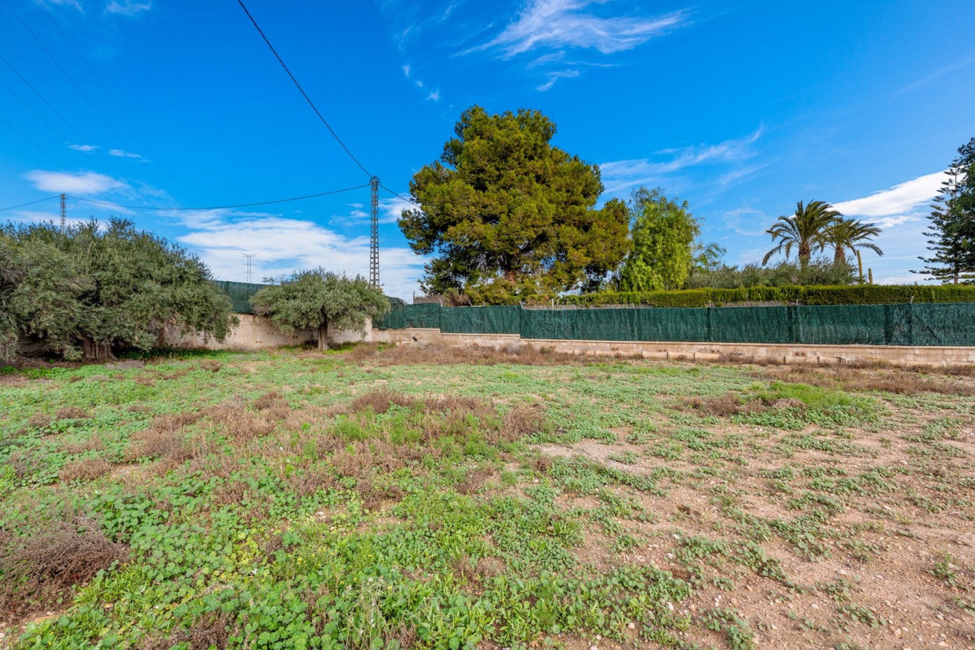 Re-Sale - Country Property - Elche - Elche - Country