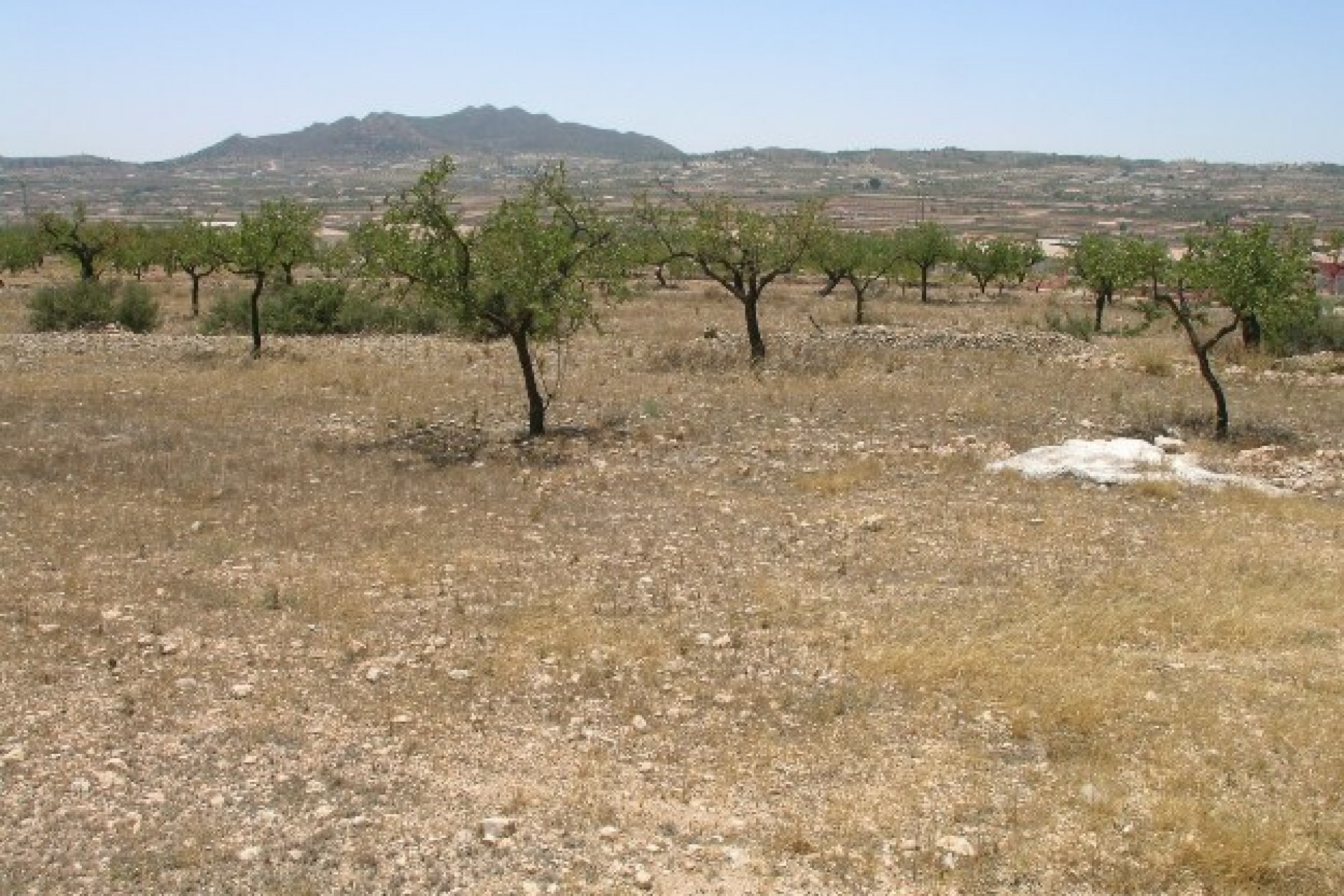 Re-Sale - Country Property - Hondon - Hondon de Los Frailes