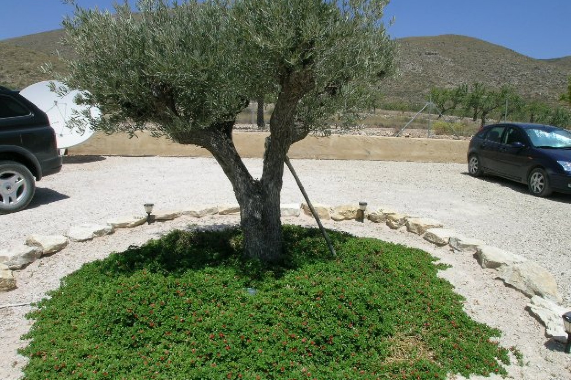 Re-Sale - Country Property - Hondon - Hondon de Los Frailes