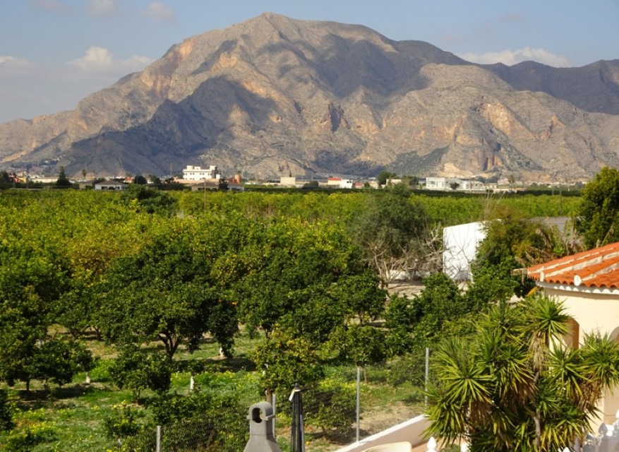 Re-Sale - Country Property - Orihuela - San Bartolome