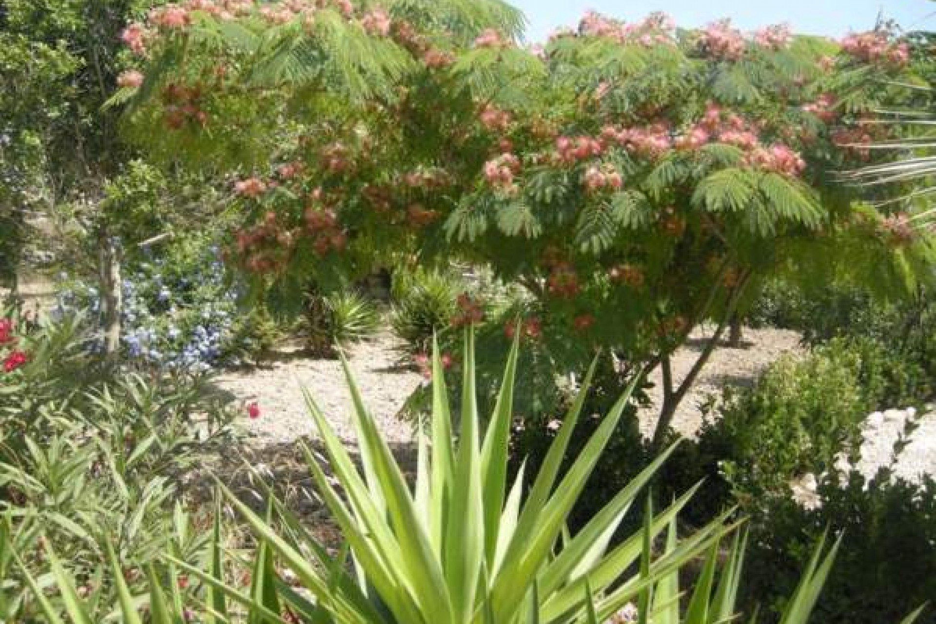 Re-Sale - Country Property - Rafal - El Mudamiento