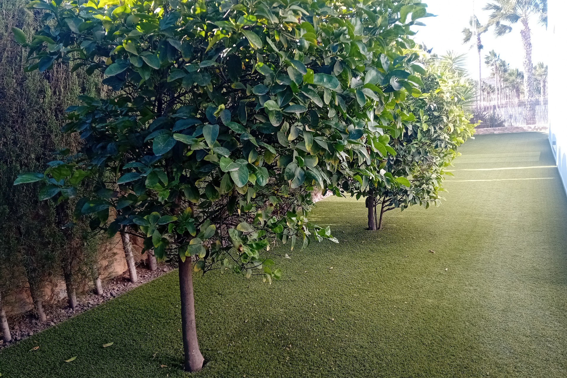 Re-Sale - Detached Villa - Algorfa - La Finca Golf Resort