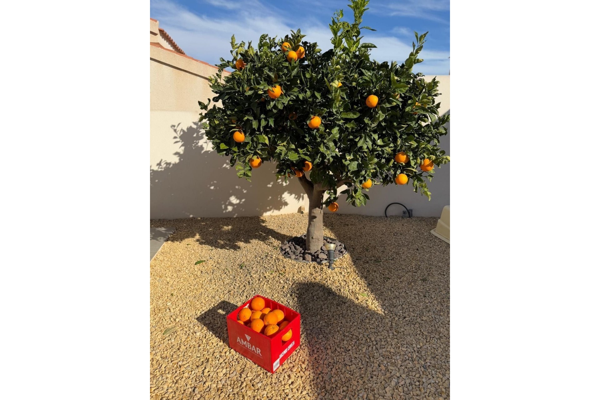 Re-Sale - Detached Villa - Ciudad Quesada - La Marquesa