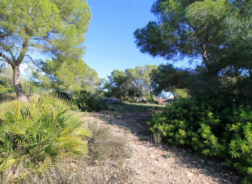 Re-Sale - Detached Villa - Mil Palmeras - Mil Palmeras - Town