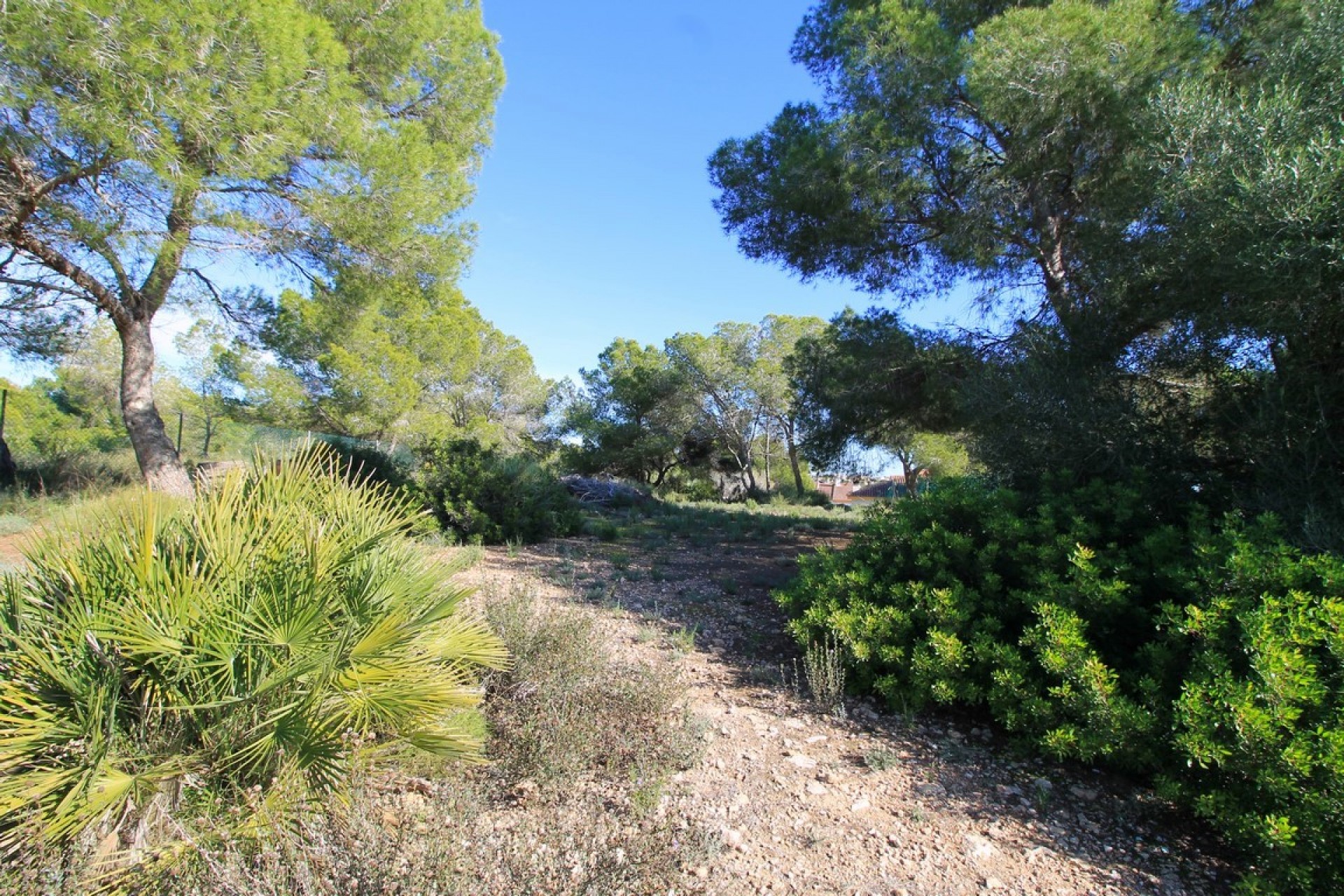 Re-Sale - Detached Villa - Mil Palmeras - Mil Palmeras - Town