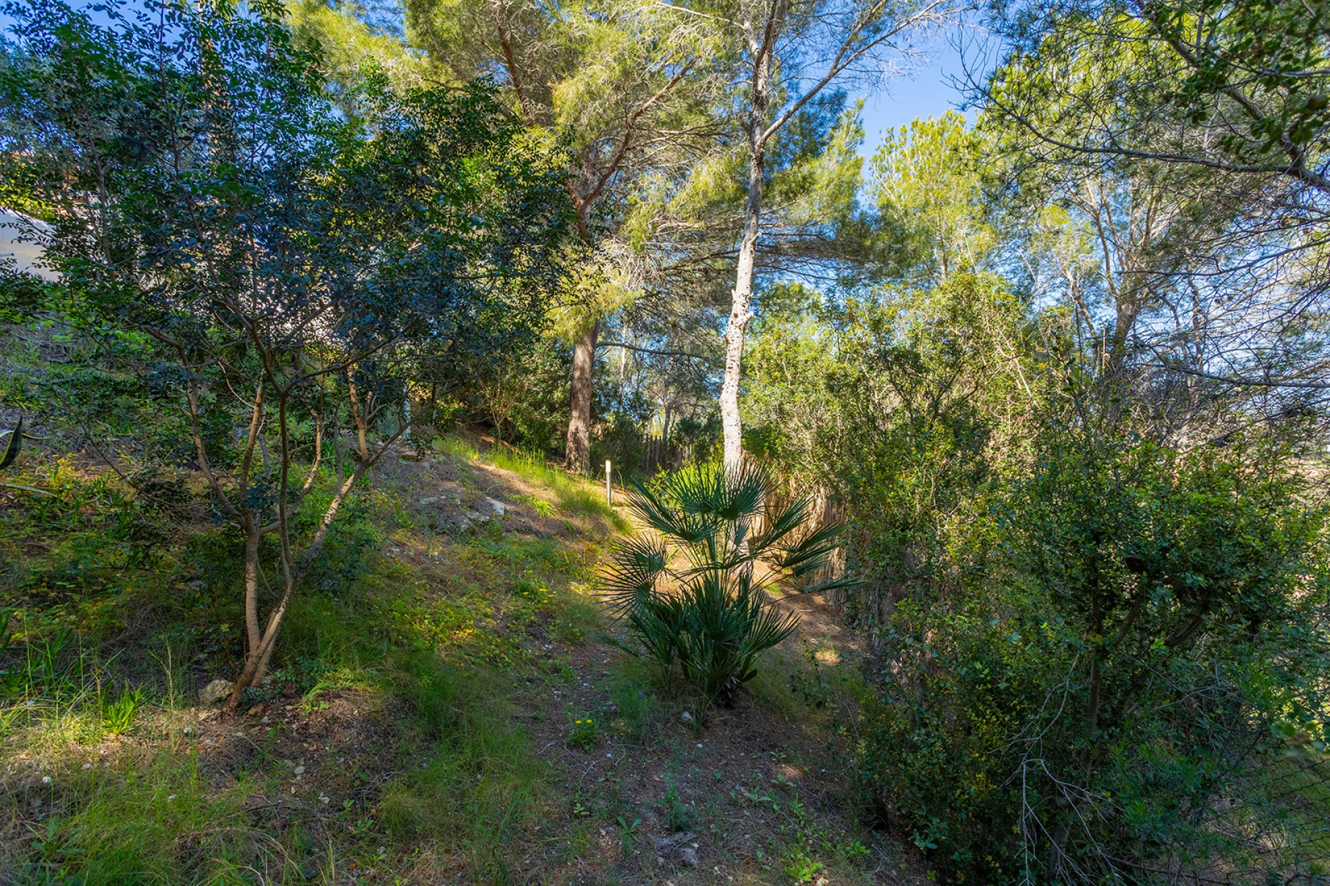 Re-Sale - Detached Villa - Orihuela Costa - Villamartin