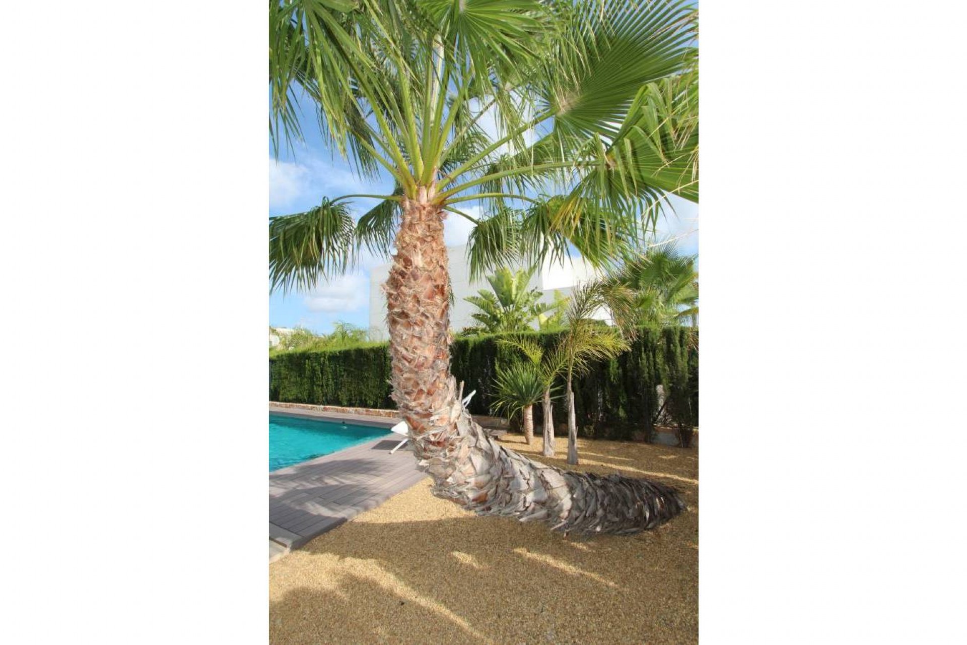 Re-Sale - Detached Villa - Rojales - Ciudad Quesada