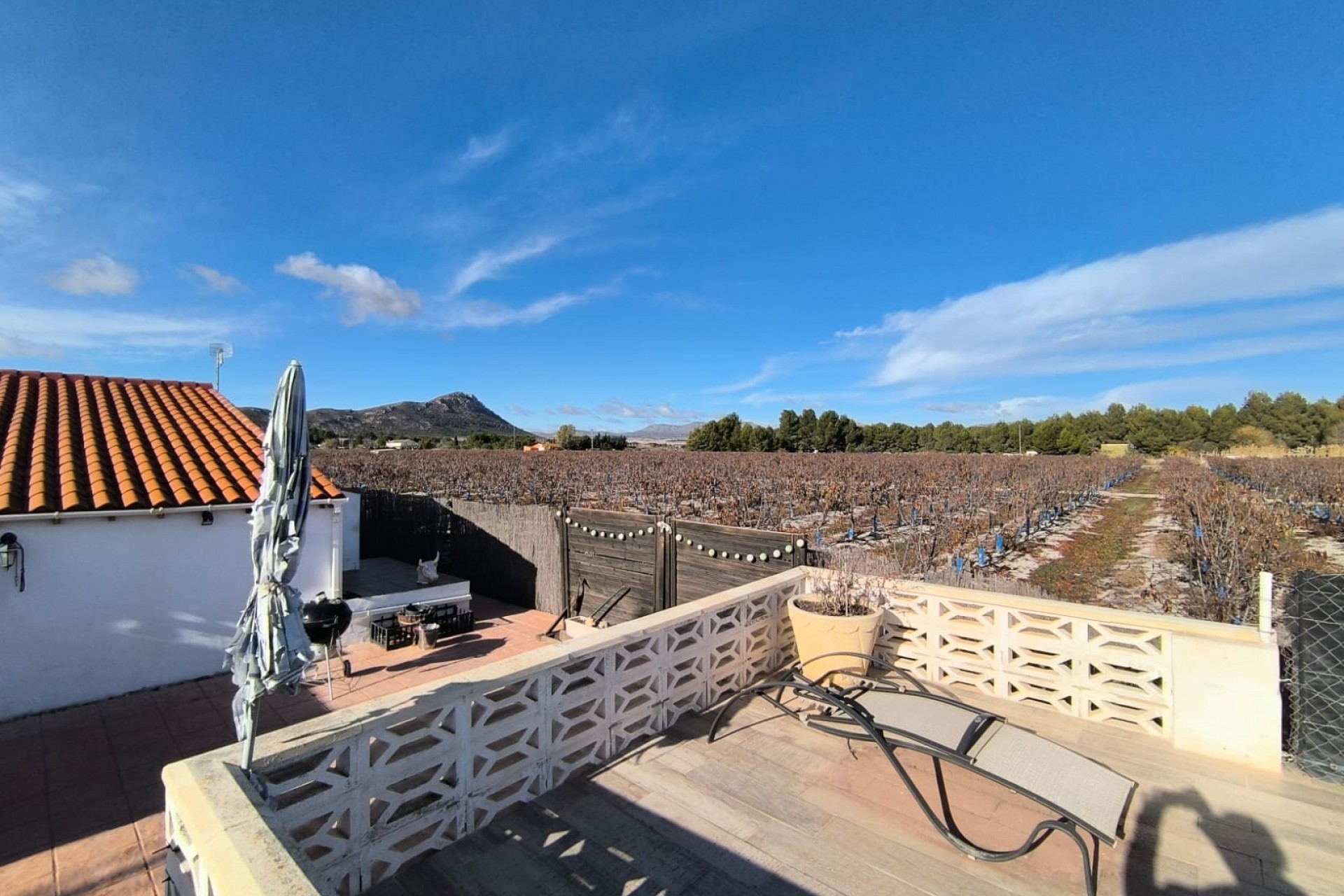 Re-Sale - Detached Villa - Villena - Rural location