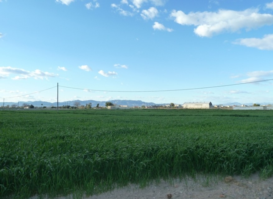 Re-Sale - Plot of Land - Dolores - Dolores - Country