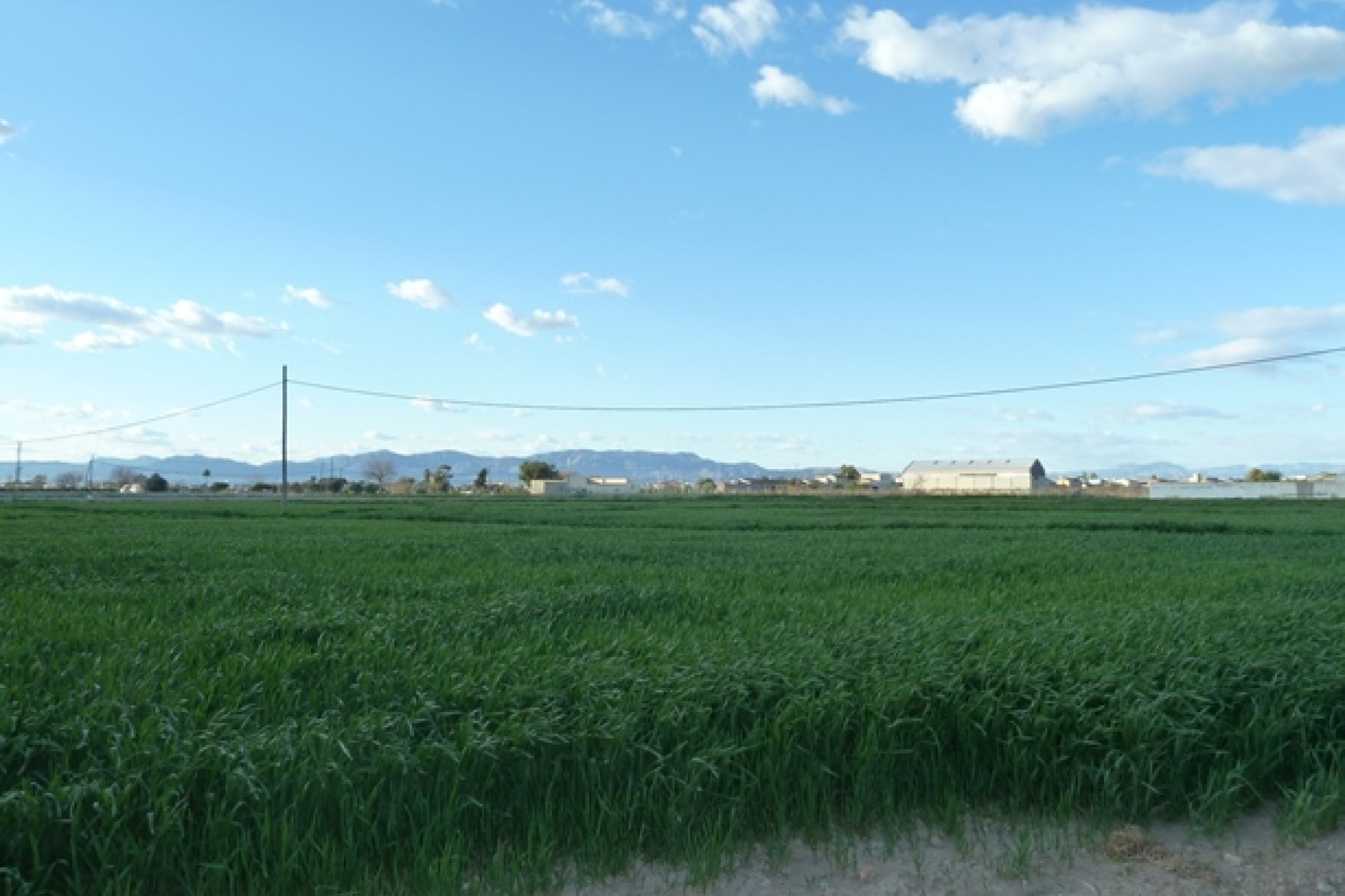 Re-Sale - Plot of Land - Dolores - Dolores - Country