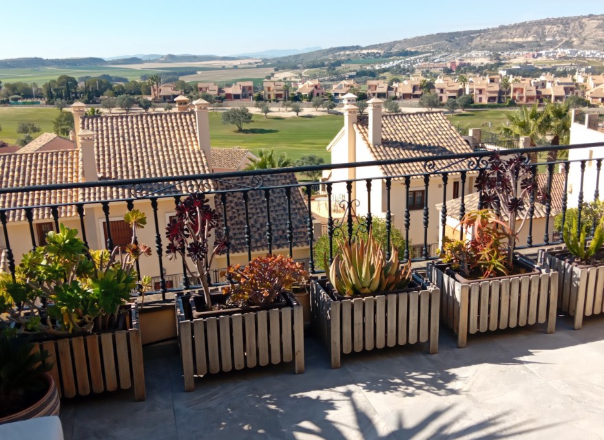 Re-Sale - Townhouse - Algorfa - La Finca Golf Resort