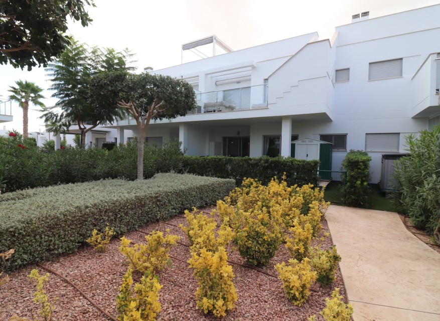 Rental - Apartment - Los Montesinos - Entre Naranjos / Vistabella Golf