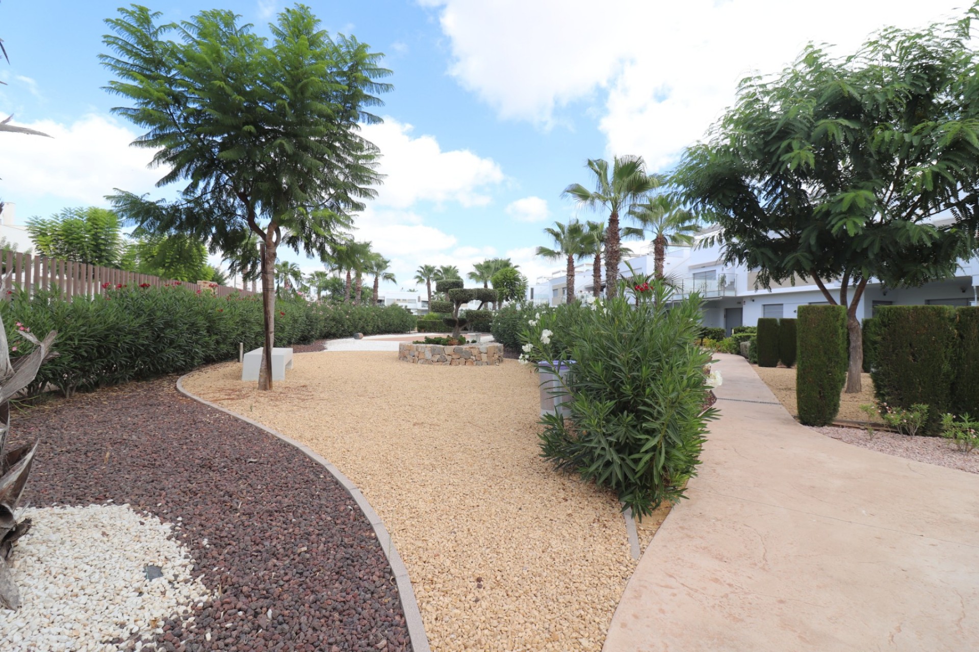 Rental - Apartment - Los Montesinos - Entre Naranjos / Vistabella Golf