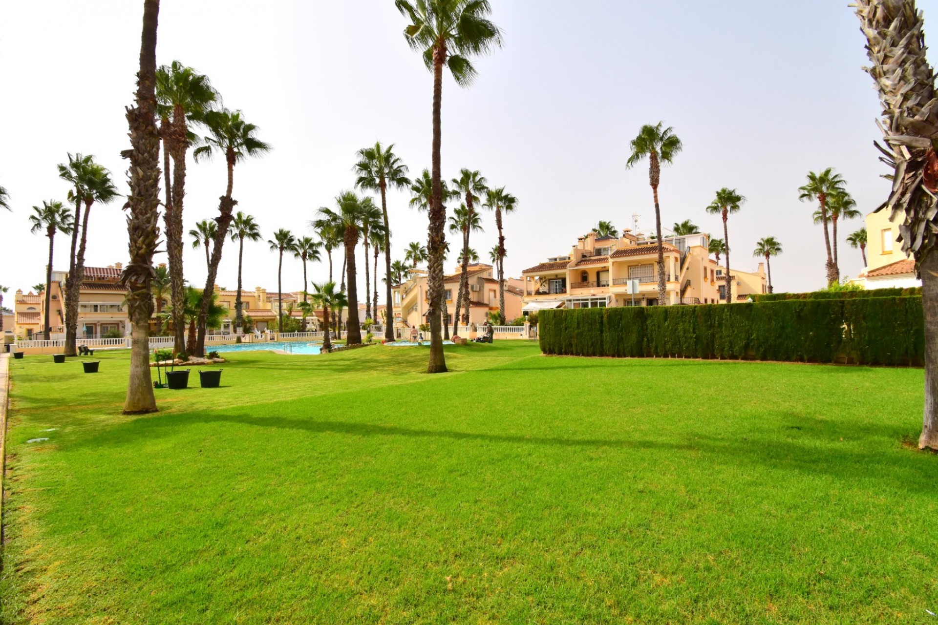 Reventa - Adosado - Orihuela Costa - Playa Flamenca