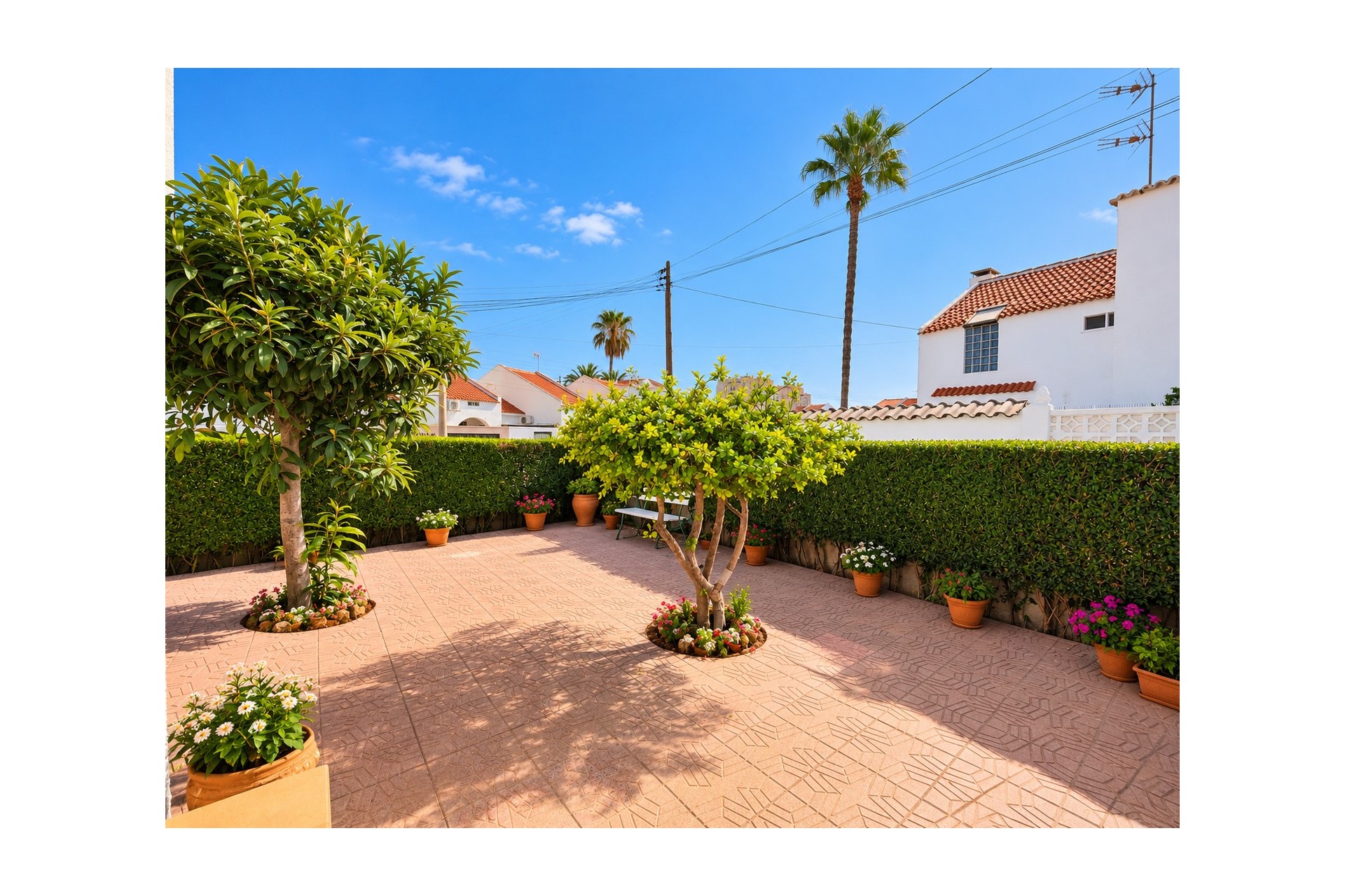 Reventa - Adosado - Torrevieja - Torrevieja - Centro