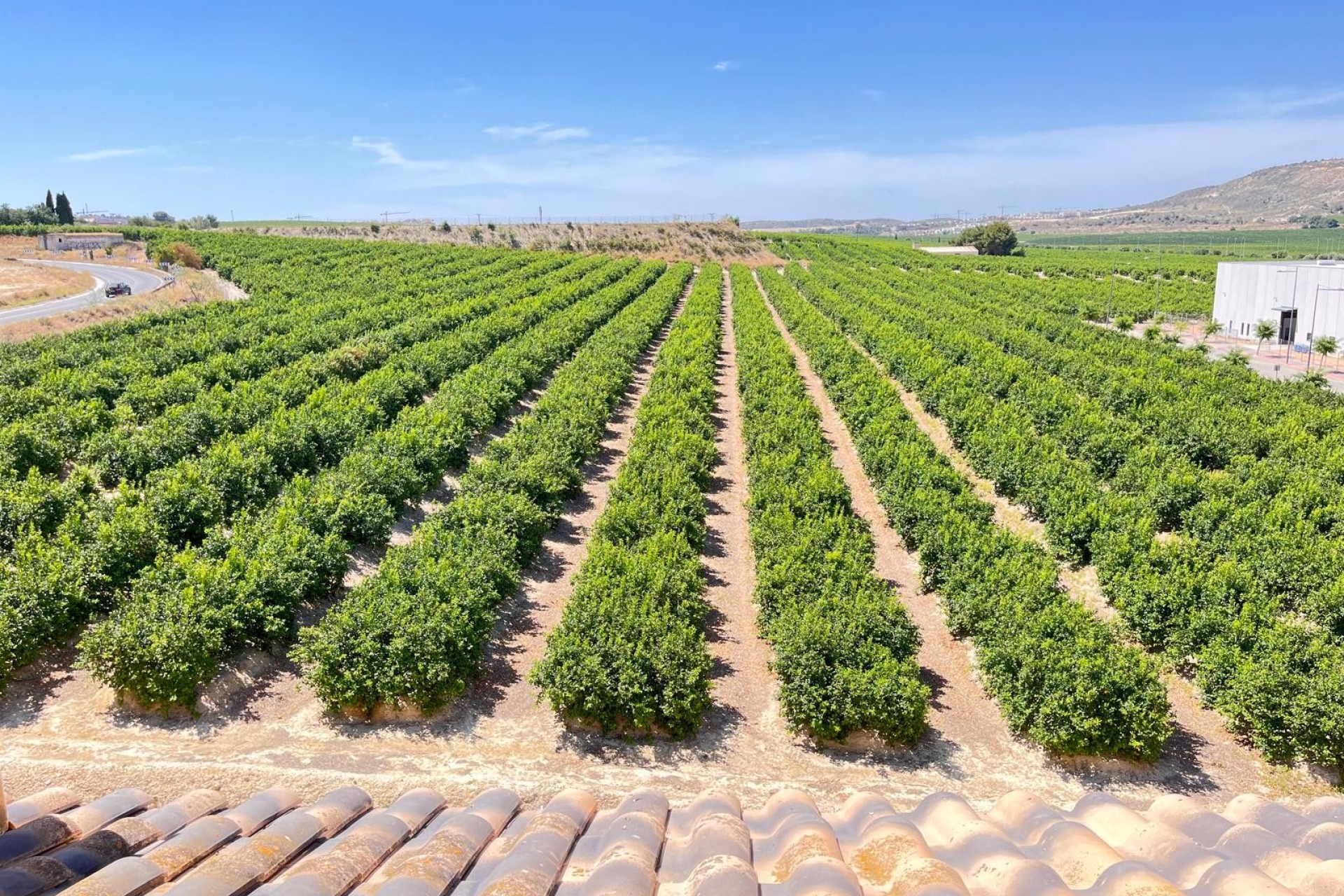 Reventa - Apartamento - Algorfa - Algorfa - Pueblo