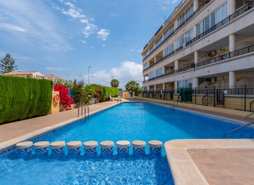 Reventa - Apartamento - Orihuela Costa - La Florida