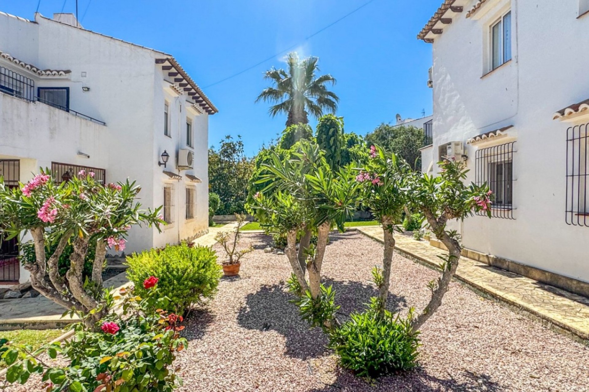 Reventa - Apartamento - Orihuela Costa - Los Balcones