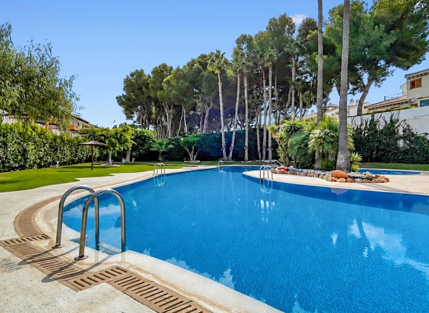 Reventa - Apartamento - Orihuela Costa - Mil Palmeras