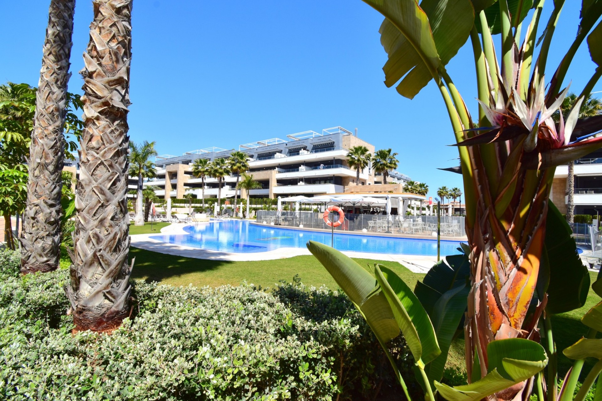 Reventa - Apartamento - Orihuela Costa - Playa Flamenca