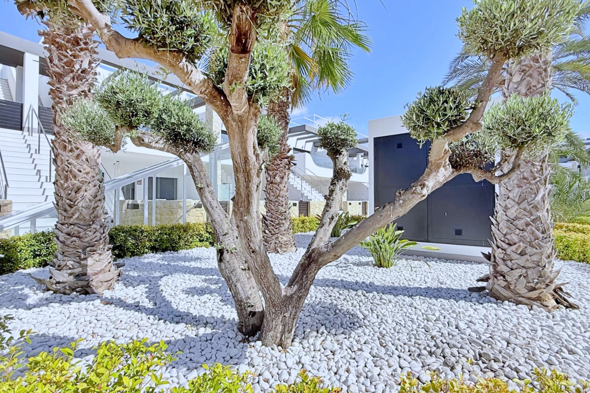 Reventa - Apartamento - Orihuela Costa - Punta Prima