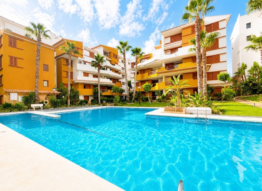 Reventa - Apartamento - Orihuela Costa - Punta Prima