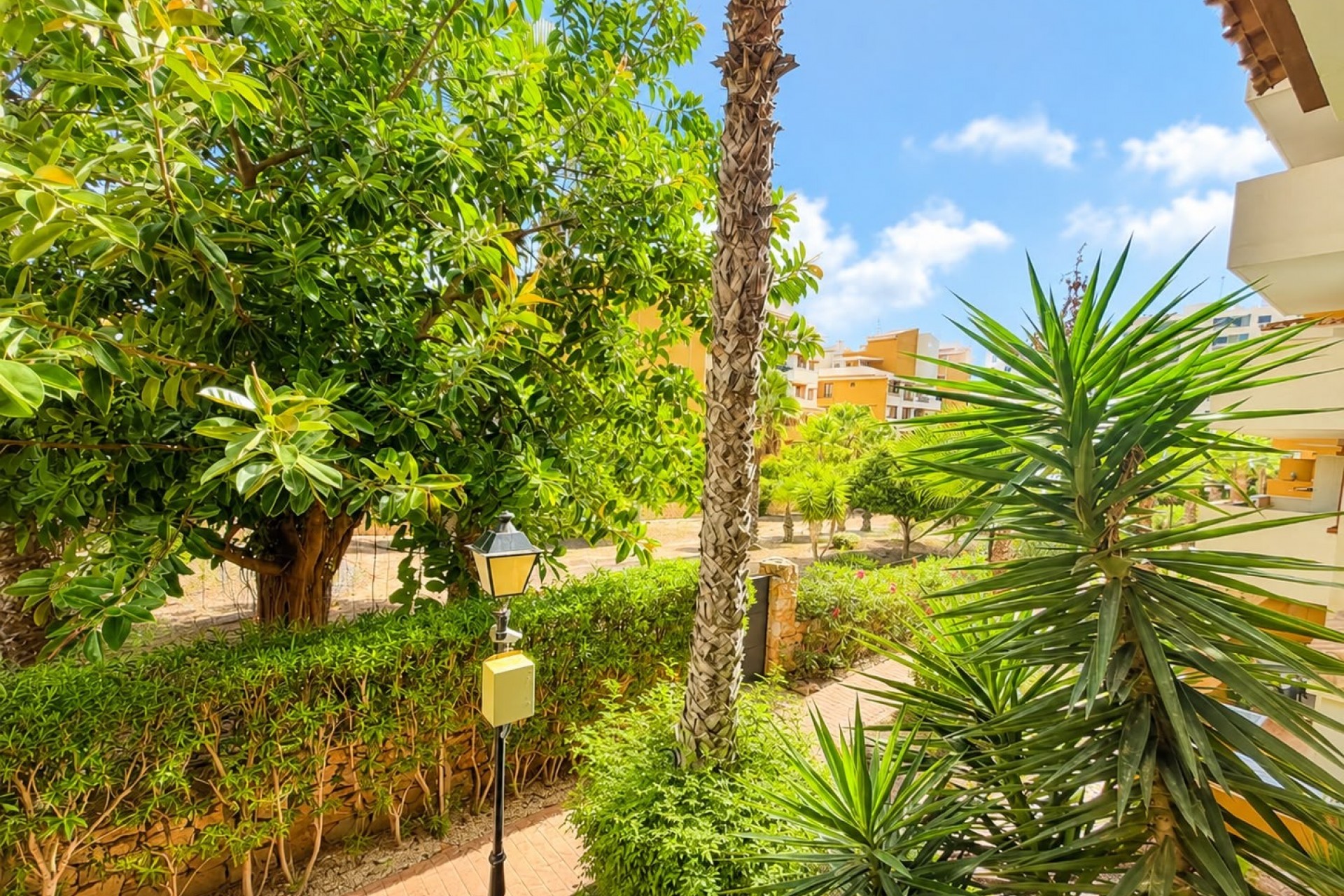 Reventa - Apartamento - Orihuela Costa - Punta Prima