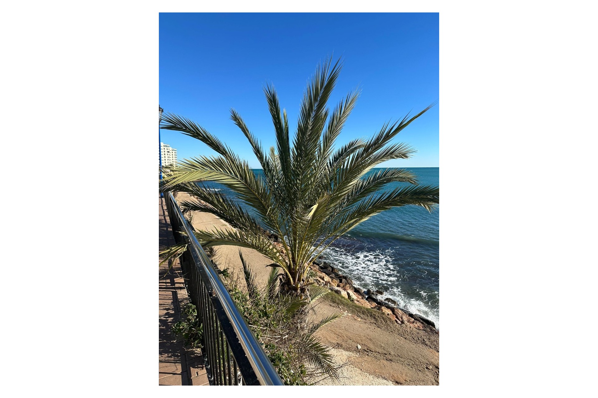 Reventa - Apartamento - Orihuela Costa - Punta Prima