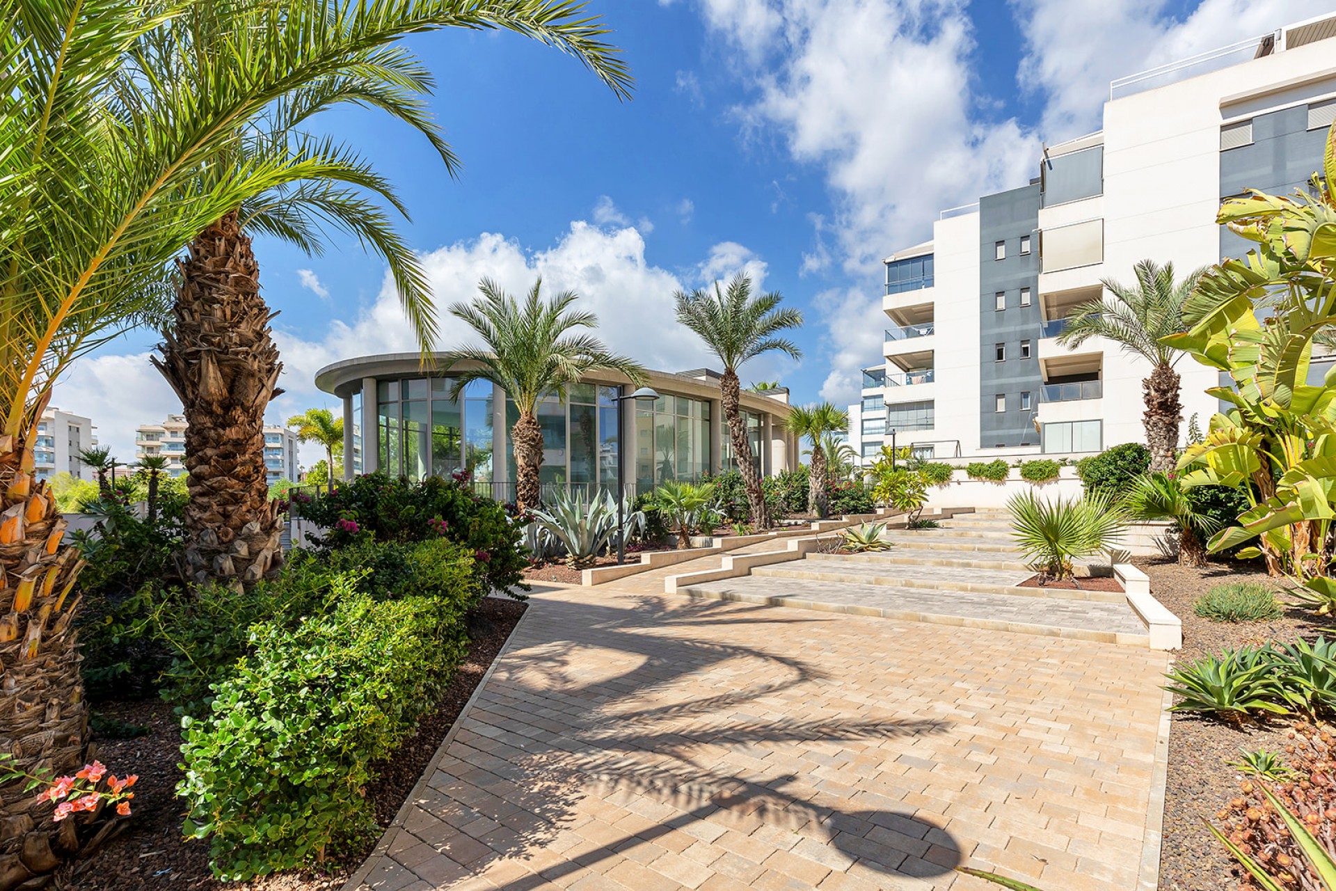 Reventa - Apartamento - Orihuela Costa - Villamartin