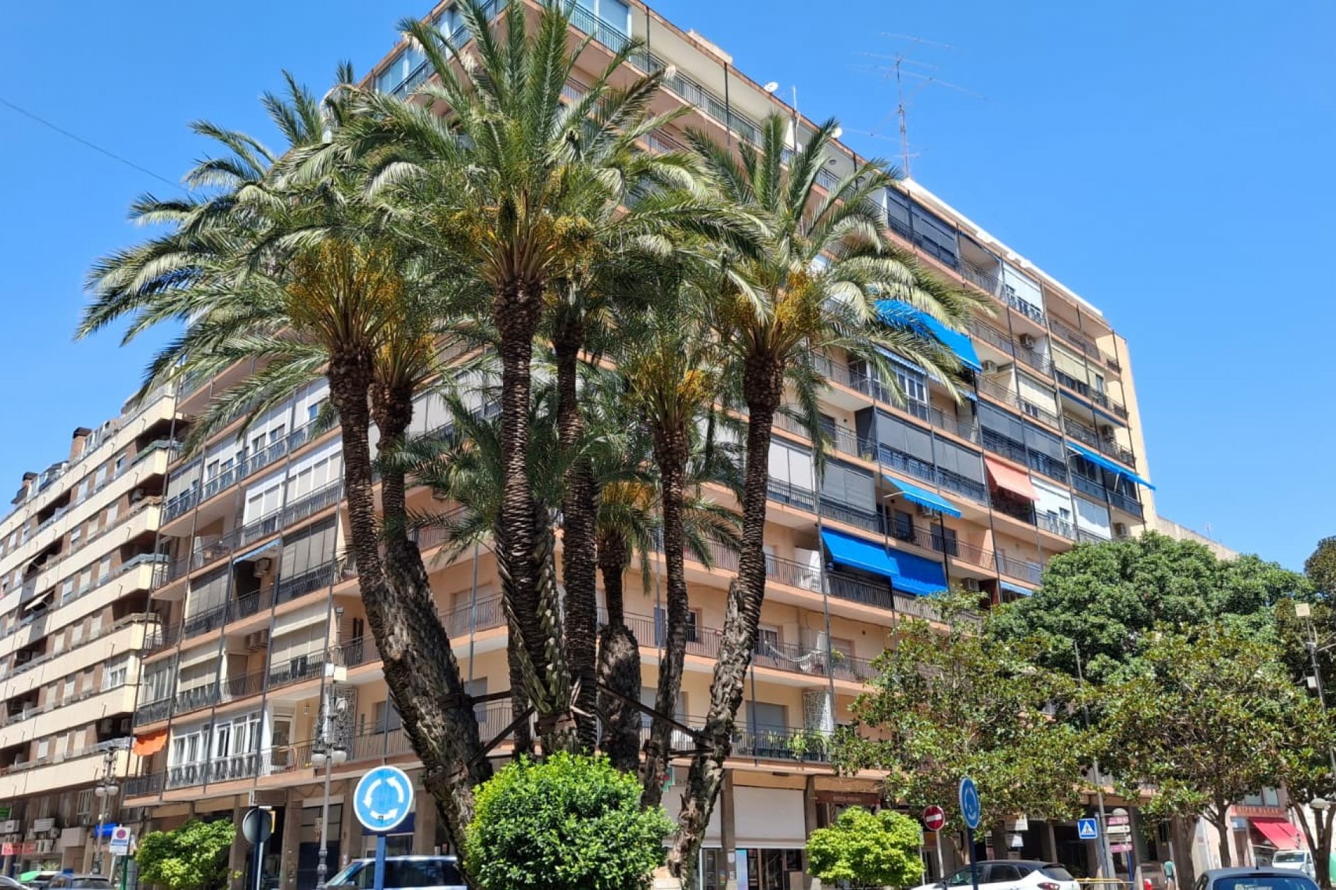 Reventa - Apartamento - Orihuela - Orihuela - Ciudad