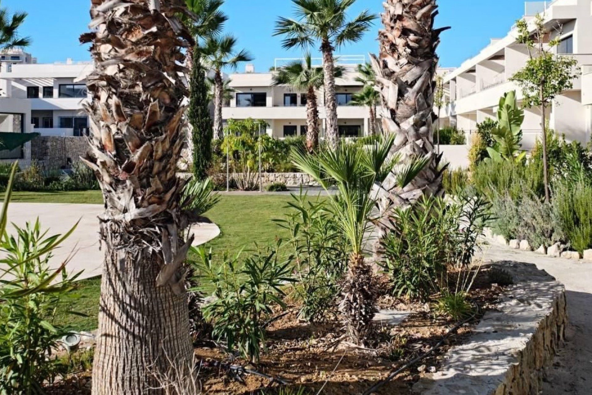 Reventa - Apartamento - Torrevieja - La Veleta