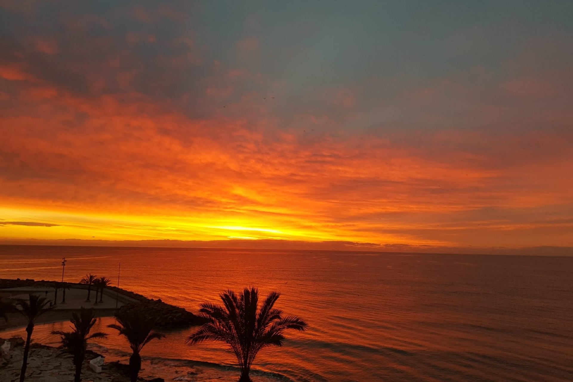 Reventa - Apartamento - Torrevieja - Playa Del Cura