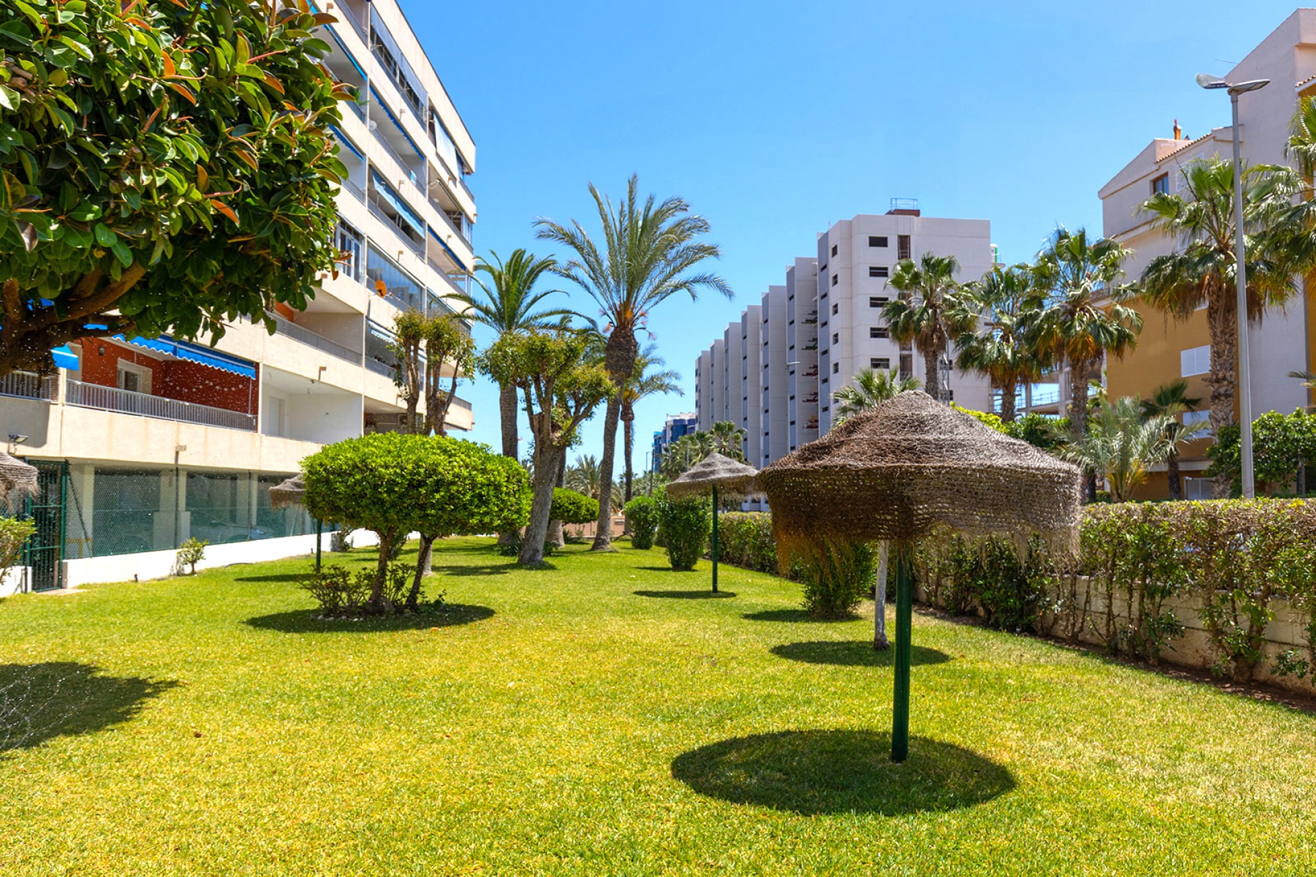 Reventa - Apartamento - Torrevieja - Rocio del Mar