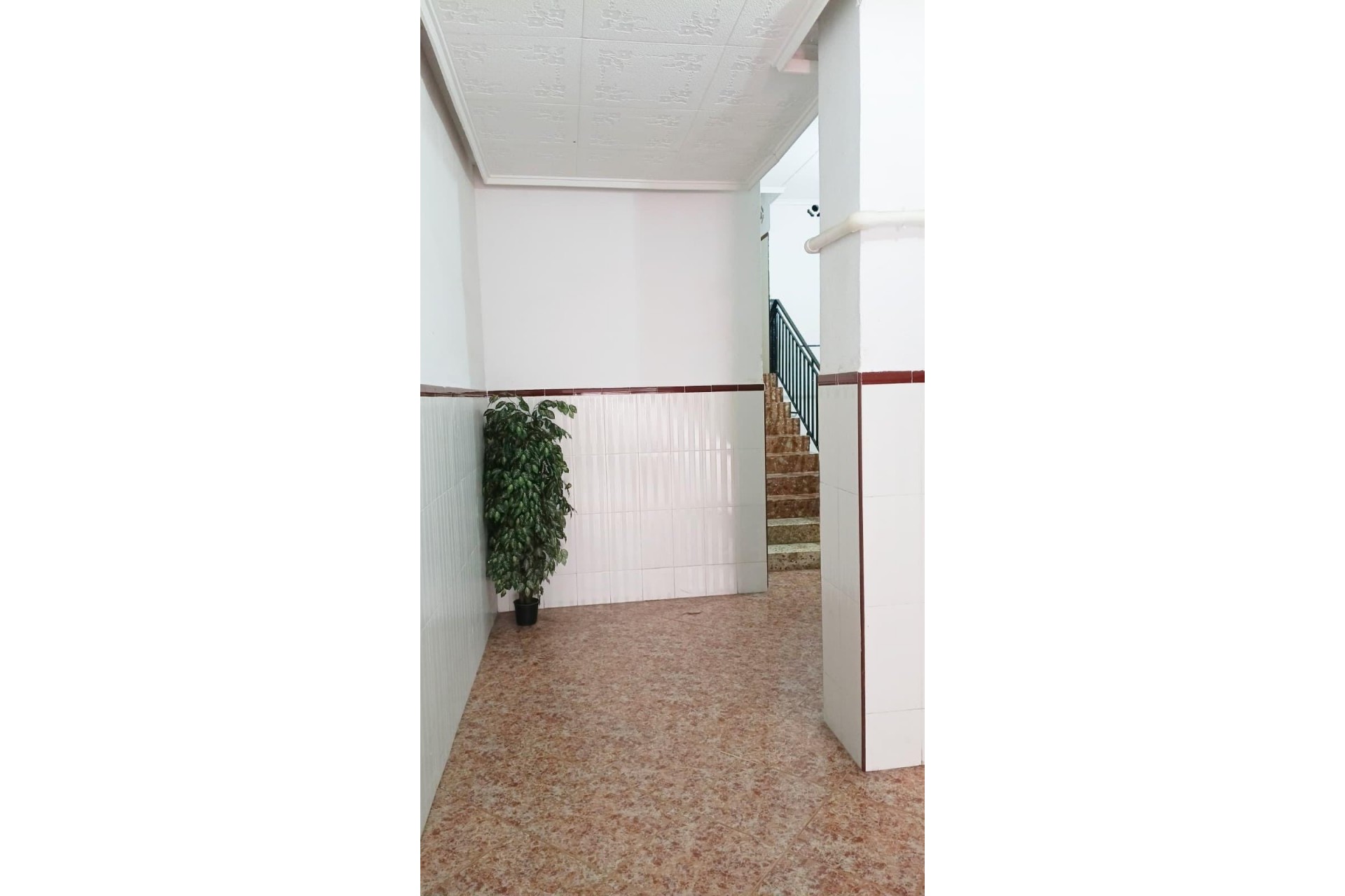 Reventa - Apartamento - Torrevieja - Torrevieja - Centro