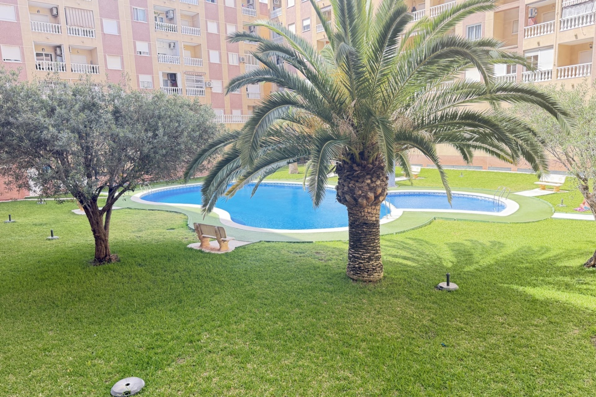 Reventa - Apartamento - Torrevieja - Torrevieja - Centro