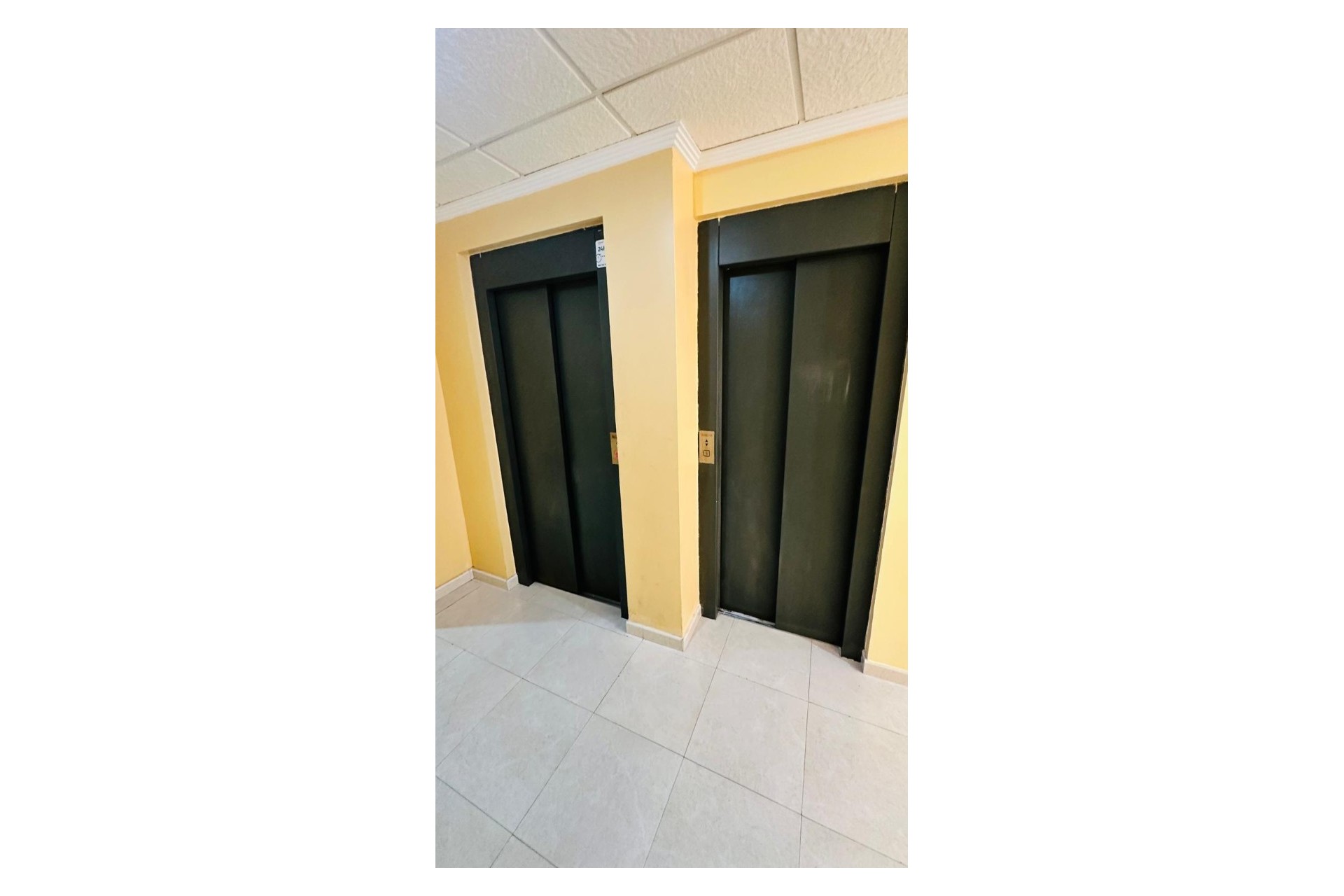 Reventa - Apartamento - Torrevieja