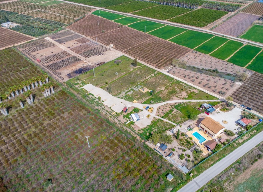 Reventa - Casa de Campo - Albatera - Albatera - Campo