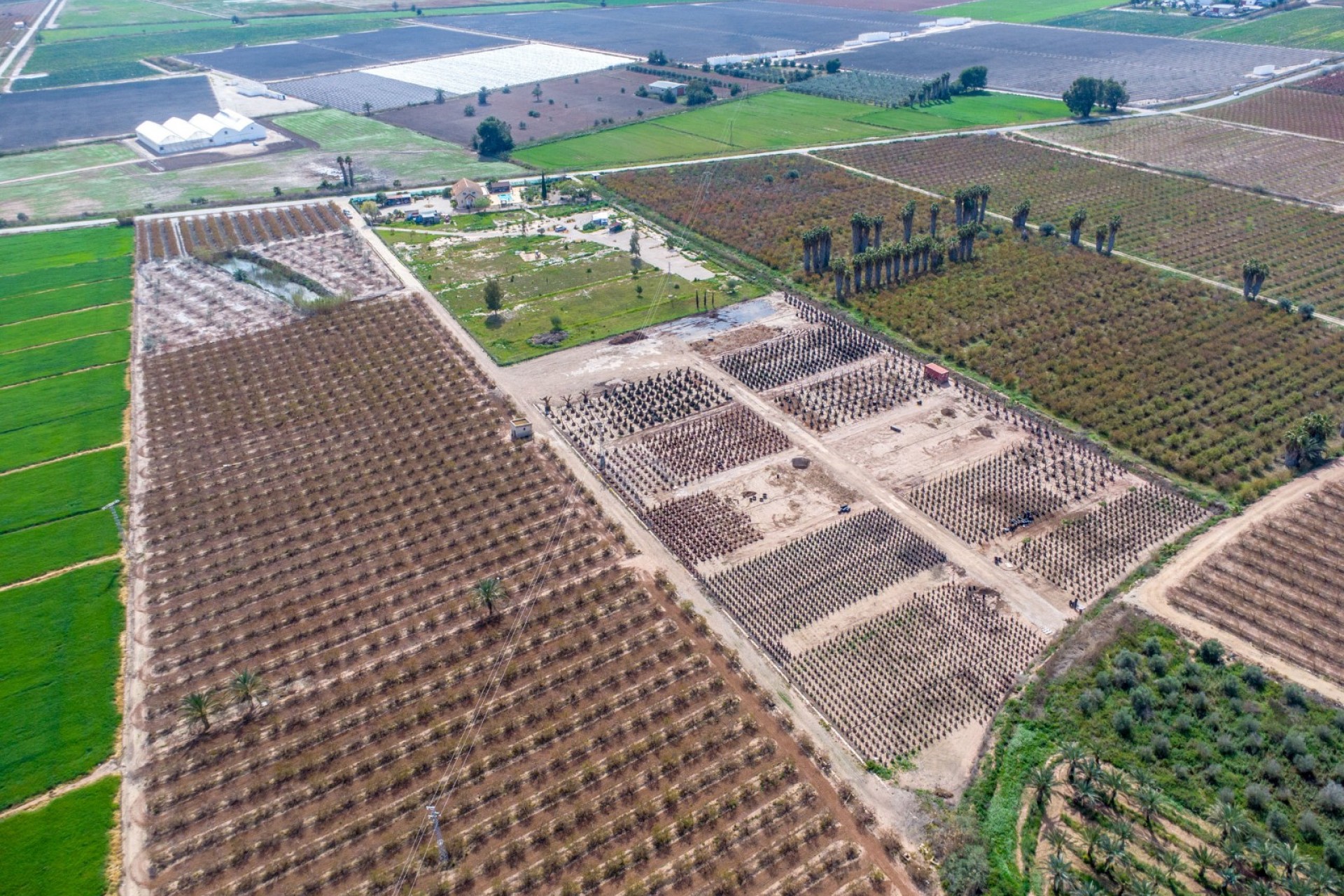 Reventa - Casa de Campo - Albatera - Albatera - Campo