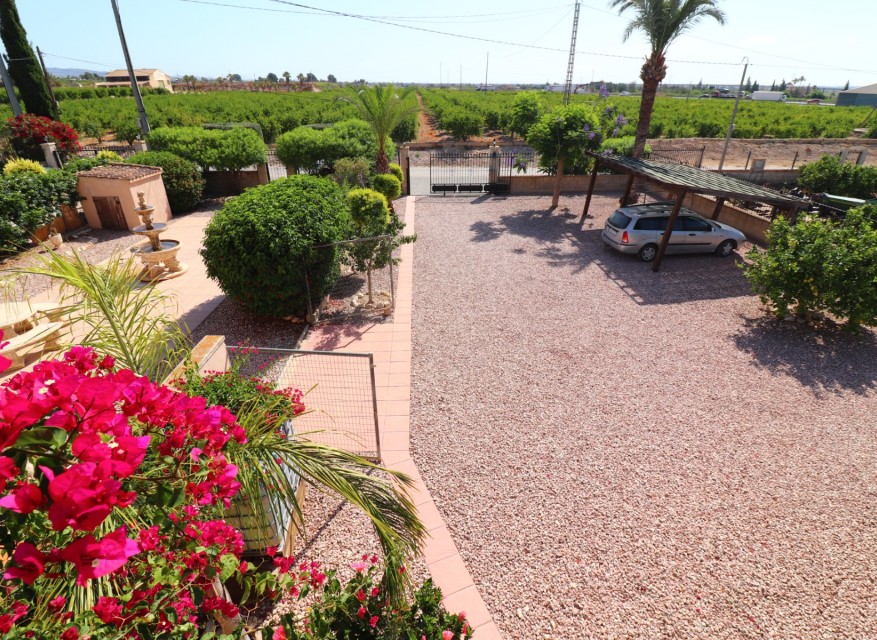 Reventa - Casa de Campo - Albatera - Albatera - Campo