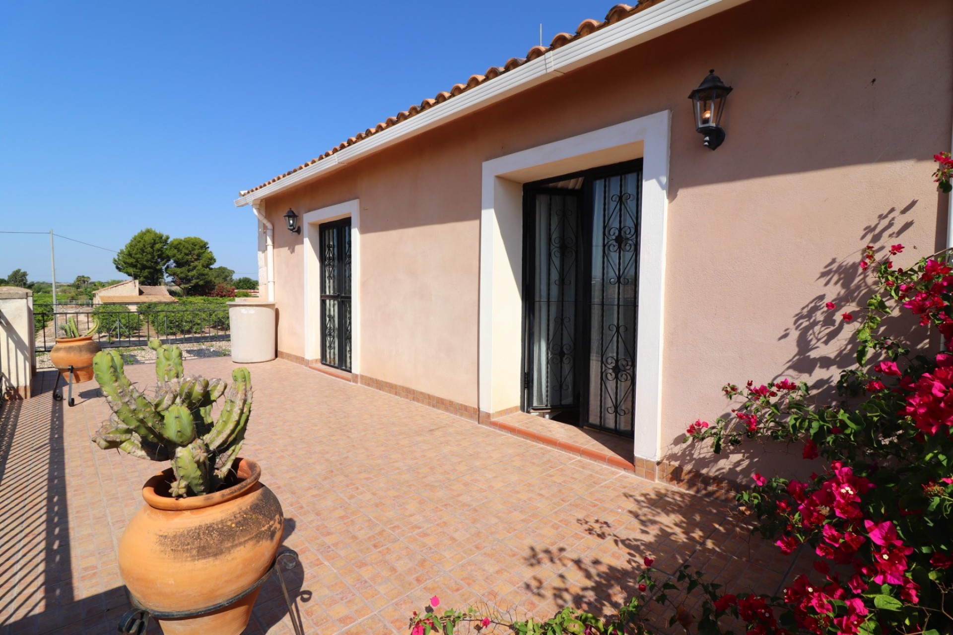 Reventa - Casa de Campo - Albatera - Albatera - Campo