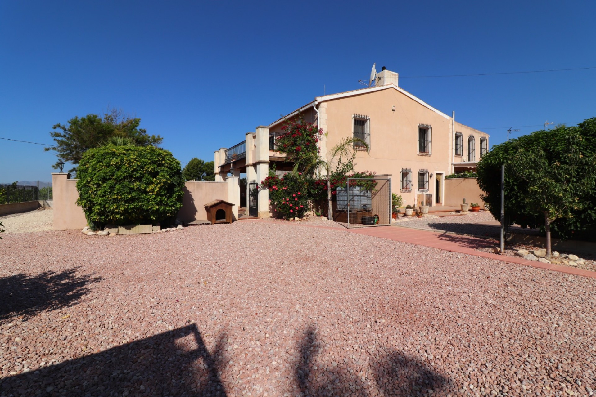 Reventa - Casa de Campo - Albatera - Albatera - Campo