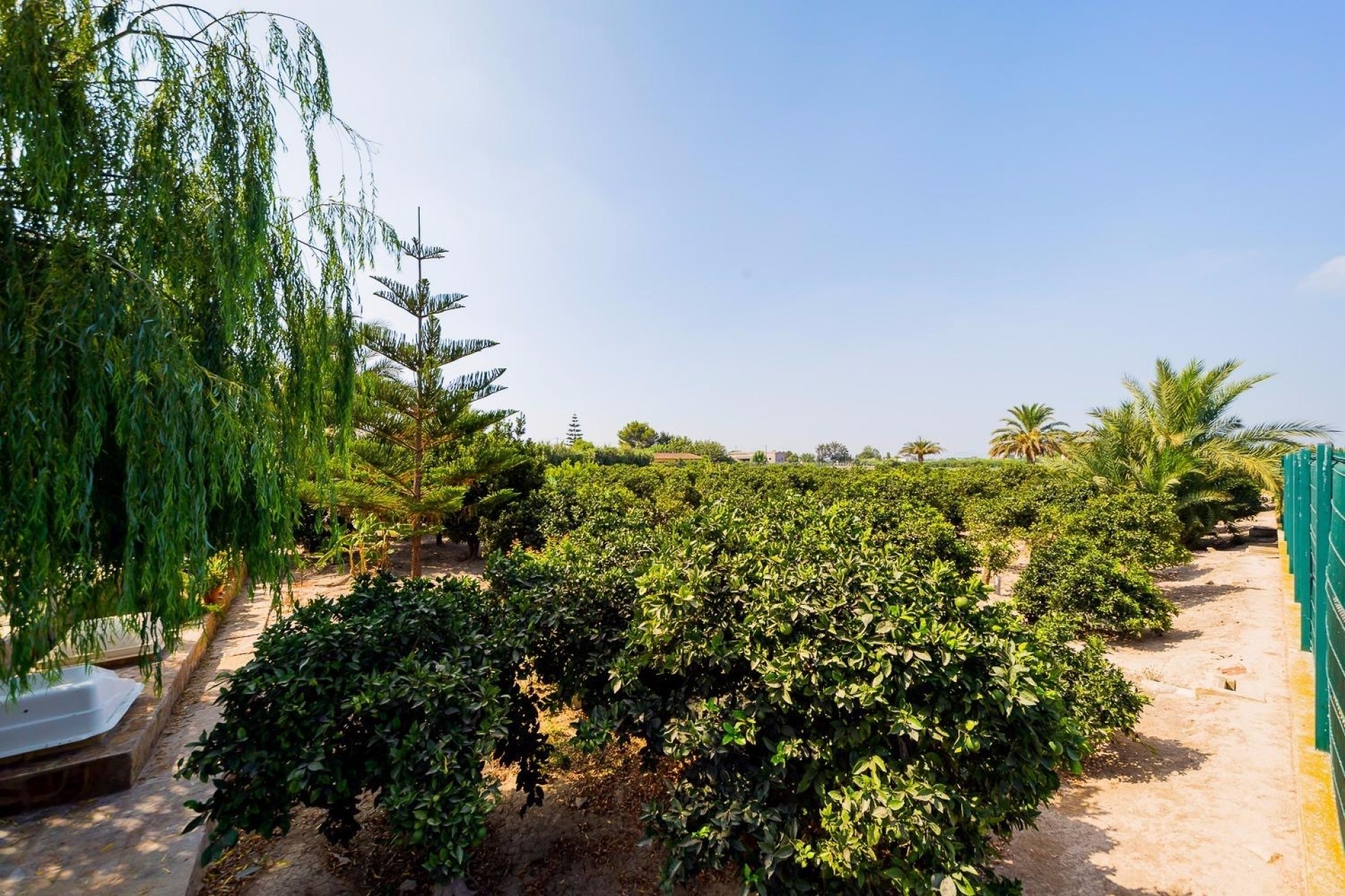 Reventa - Casa de Campo - Almoradi - Almoradi - Campo