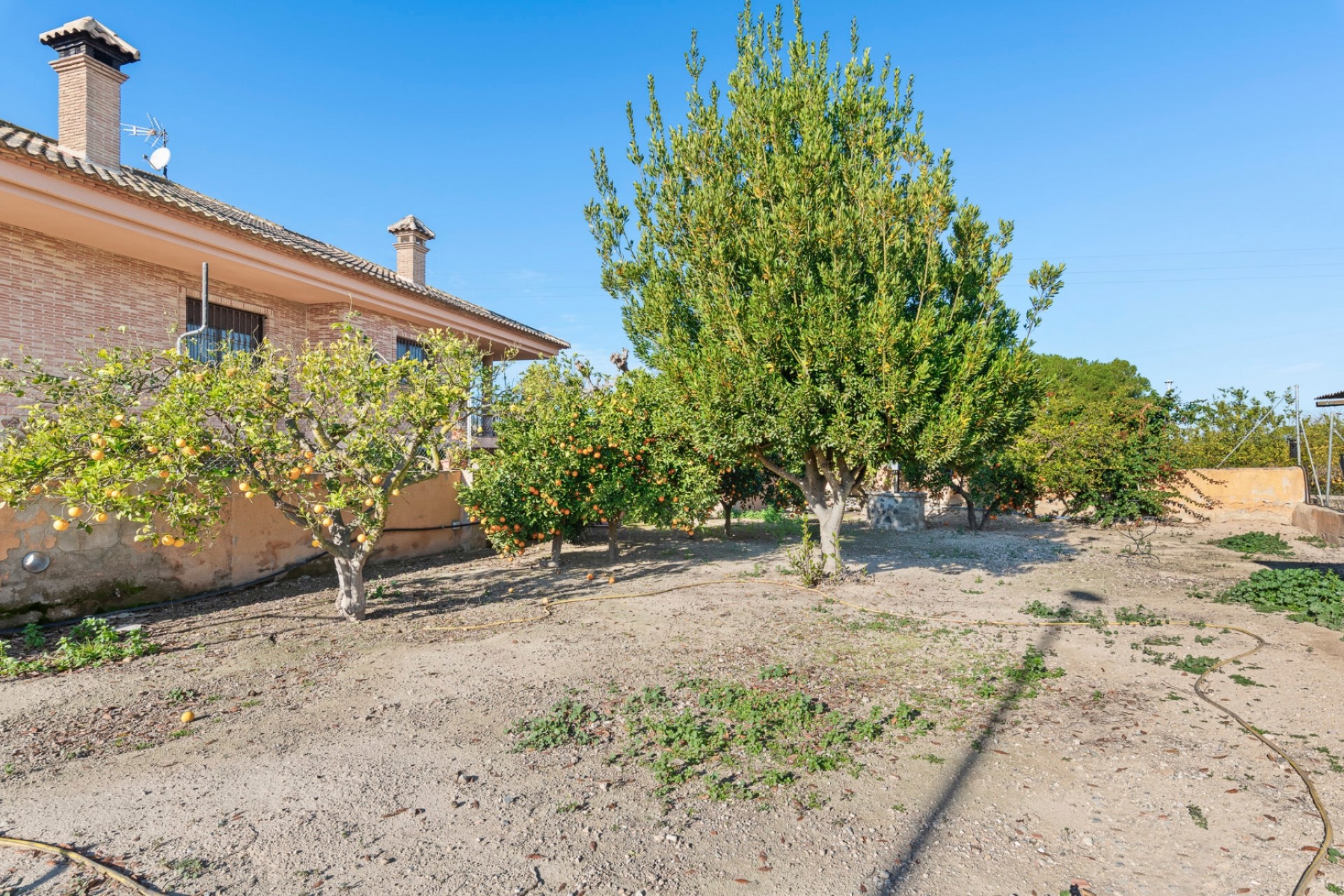 Reventa - Casa de Campo - Beniel - Beniel - Campo
