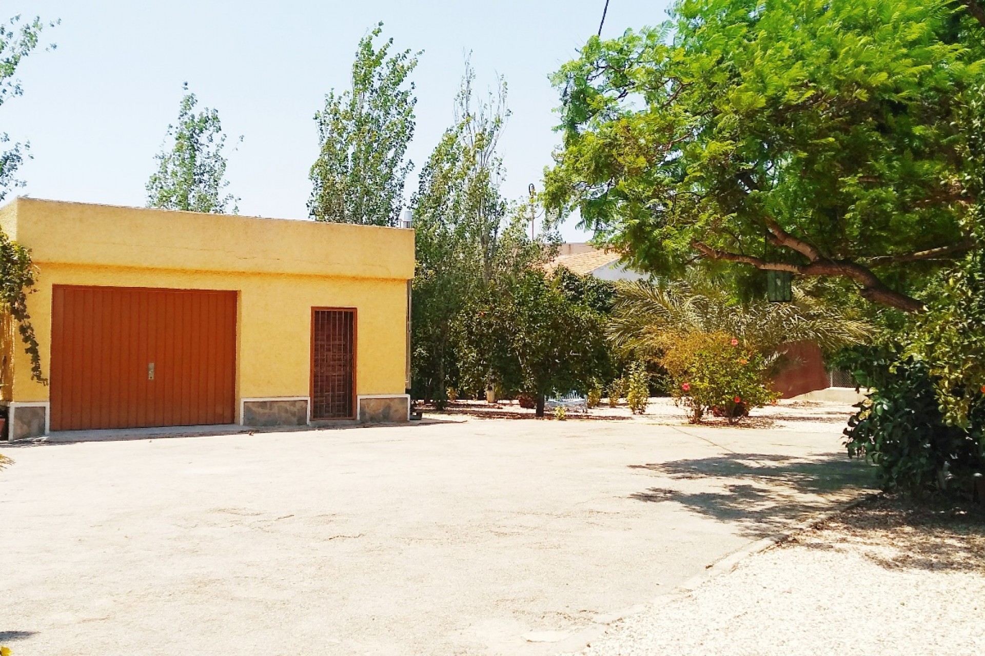 Reventa - Casa de Campo - Benijofar - Benijofar - Pueblo