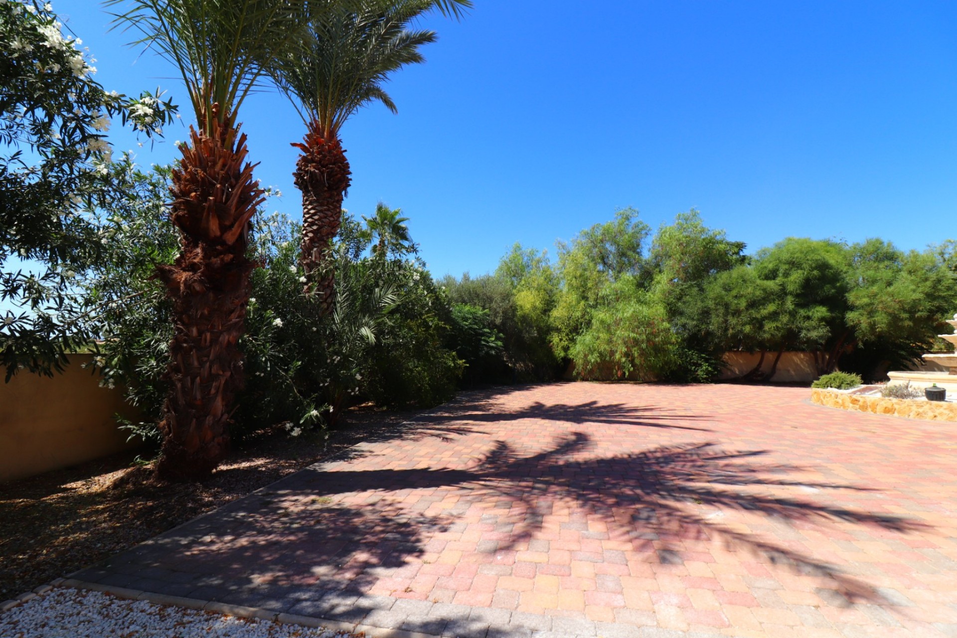 Reventa - Casa de Campo - Catral - Catral - Campo